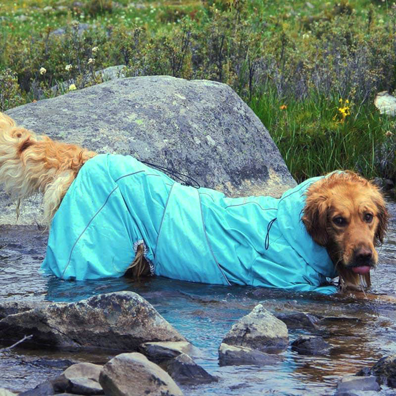 Große Hund Outdoor-Jacke wasserdicht verstellbarer Hunderegenmantel