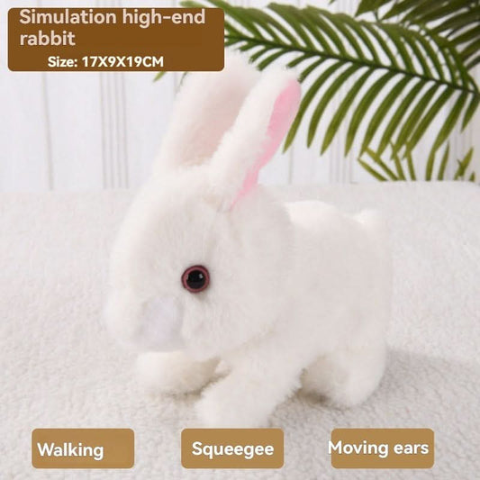 Frendorf | Bewegung & Sound für endlosen Spaß