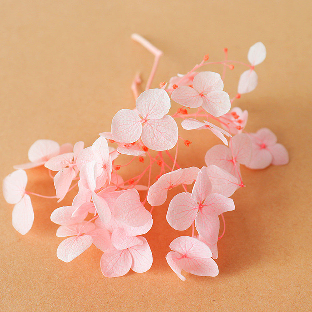 Frendorf | Hortensienblüte (leuchtendes Pink) – kräftige und lebendige Blüten, perfekt für Hochzeiten, Wohnkultur und besondere Anlässe, üppiges und volles Design verleiht jedem Raum eine lebendige und elegante Note.