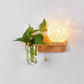 Frendorf | Kogelvormige Nachttafellamp Rattan 1-Lichts Moderne Wandlamp met Trekschakelaar in Hout