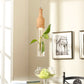 Moderne Glasflasche in Form einer Pflanzschale Licht