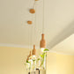 Moderne Glasflasche in Form einer Pflanzschale Licht