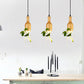 Moderne Glasflasche in Form einer Pflanzschale Licht