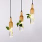 Moderne Glasflasche in Form einer Pflanzschale Licht