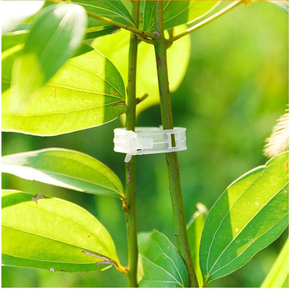 Frendorf | PlantFix Pflanzenhalter Clip Set | Stabilität für Pflanzenstiele | Einfache Befestigung | Unterstützung für gesundes Wachstum