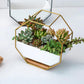 Frendorf | GeoFrame Keramik Wandpflanztopf mit Metallrahmen | Octagon Design