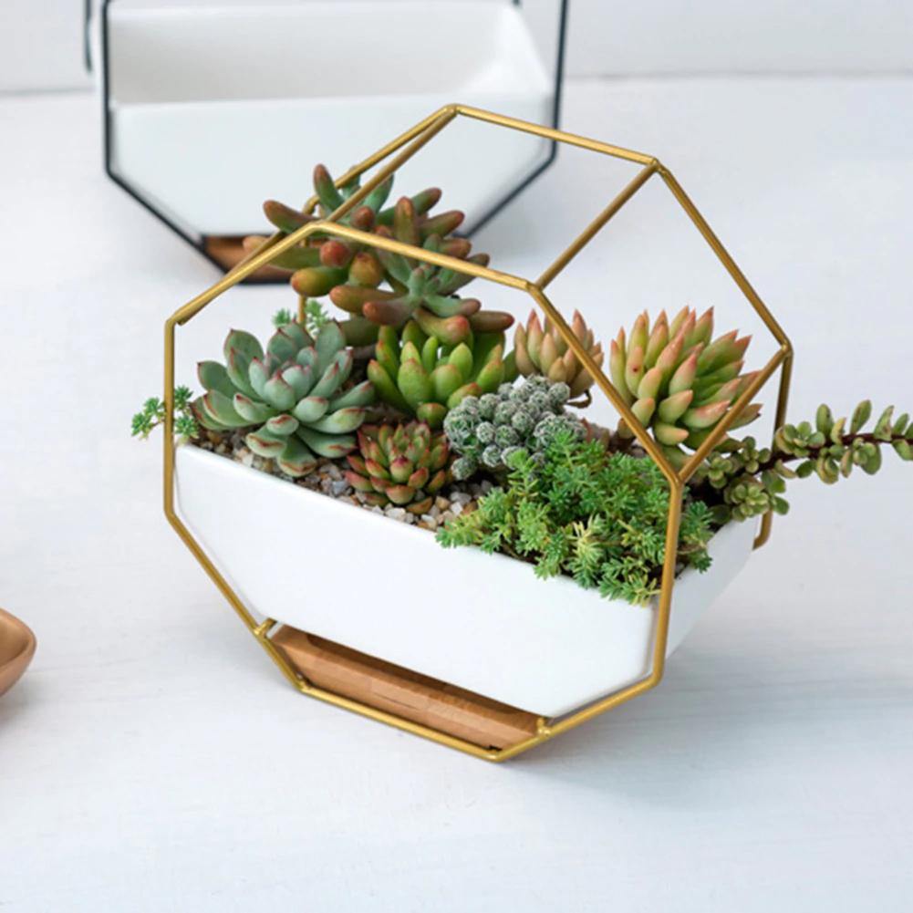 Frendorf | GeoFrame Keramik Wandpflanztopf mit Metallrahmen | Octagon Design