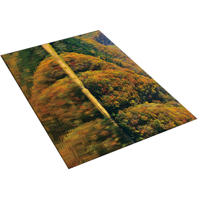 Multi-Color Moderner Teppich Polyester Digital Grafik Teppich Antirutsch Rücken Haustierfreundlicher Waschbarer Teppich für das Gästezimmer