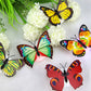 Frendorf | LumiWings - 3D bunte LED Schmetterlings Nachtlichter