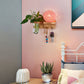 Frendorf | 1-Licht Rattan Wandleuchte Nordic Ball Wohnzimmer Wandleuchte mit Zugkette und Pflanzenpot
