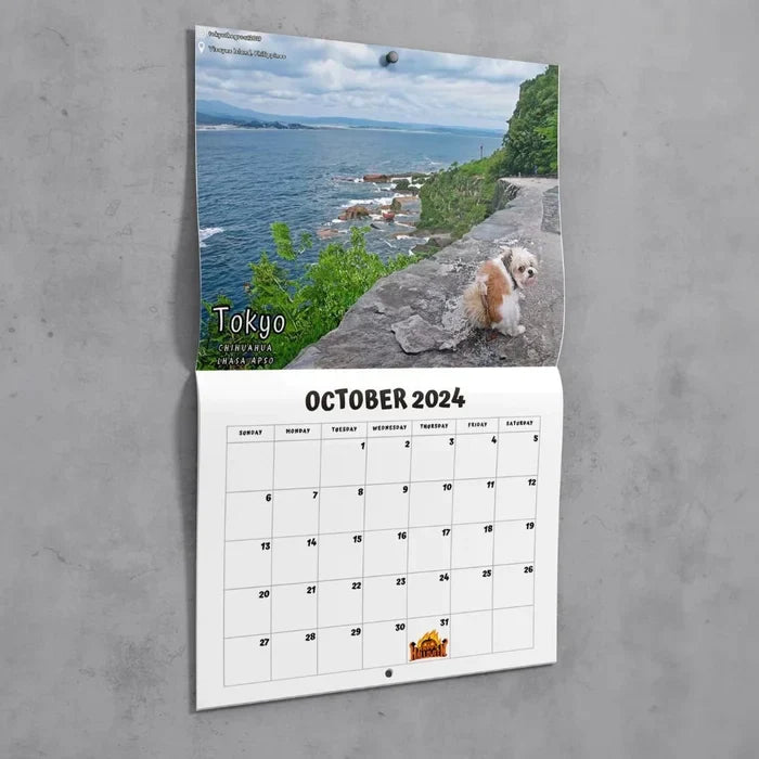 Frendorf | 📅2024 Lustigster Kalender-Hunde, die an schönen Orten kacken | "Künstlerischer Ausdruck" pelziger Freunde