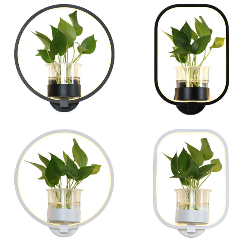 Frendorf | Ringförmige Wandleuchte Nordic Acryl Nachttisch LED Wandlampe mit Glas Pflanzenbecher
