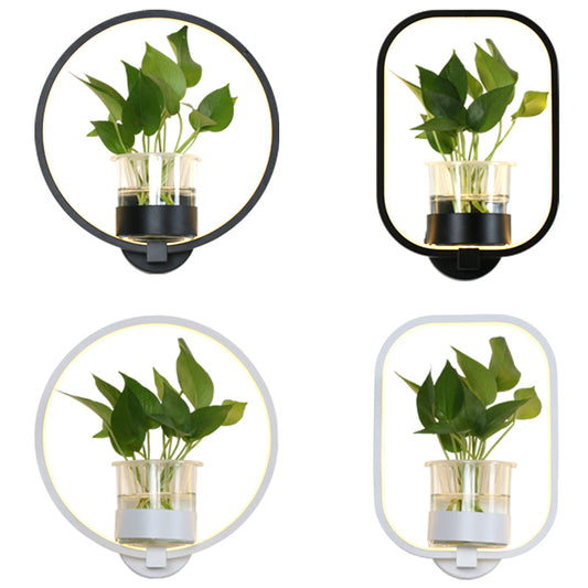 Frendorf | Ringförmige Wandleuchte Nordic Acryl Nachttisch LED Wandlampe mit Glas Pflanzenbecher