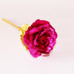 Frendorf | 24K Gold Rosen
