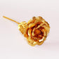 Frendorf | 24K Gold Rosen