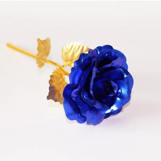 Frendorf | 24K Gold Rosen