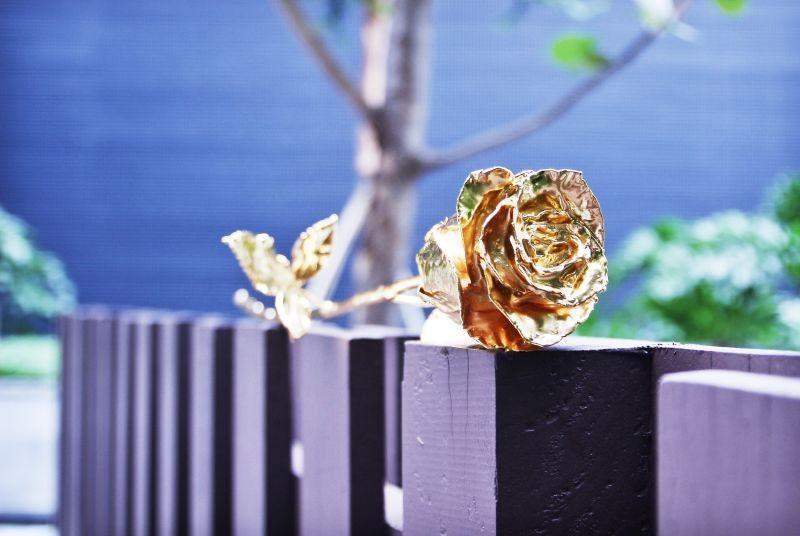 Frendorf | 24K Gold Rosen