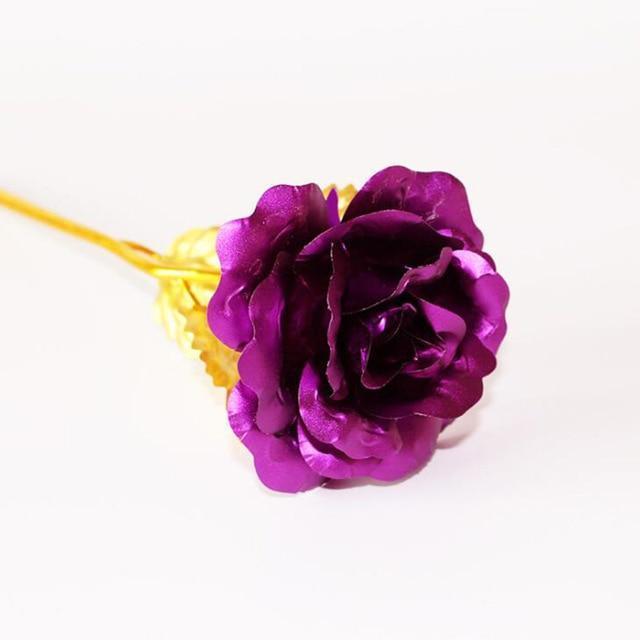 Frendorf | 24K Gold Rosen
