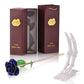 Frendorf | 24k Gold Getauchte Ewige Rose