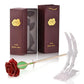 Frendorf | 24k Gold Getauchte Ewige Rose