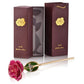 Frendorf | 24k Gold Getauchte Ewige Rose