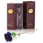 Frendorf | 24k Gold Getauchte Ewige Rose