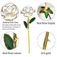 Frendorf | 24k Gold Getauchte Ewige Rose