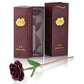 Frendorf | 24k Gold Getauchte Ewige Rose