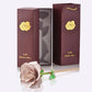 Frendorf | 24k Gold Getauchte Ewige Rose