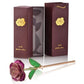 Frendorf | 24k Gold Getauchte Ewige Rose