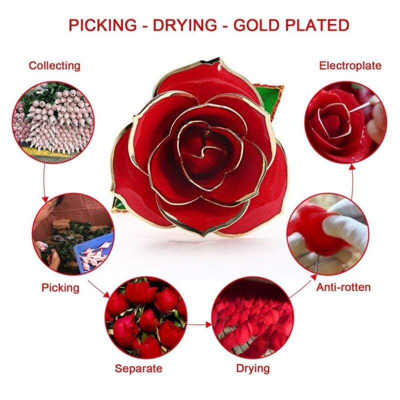 Frendorf | 24k Gold Getauchte Ewige Rose