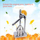 Stainless Steel Fruit Juicer