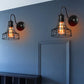 Frendorf | Metalen Schuurwandlamp Wandlamp Industrieel Stijl 1 Lamp Zwart Wandgemonteerde Lamp met Draadframe en Zwanenhalsarm