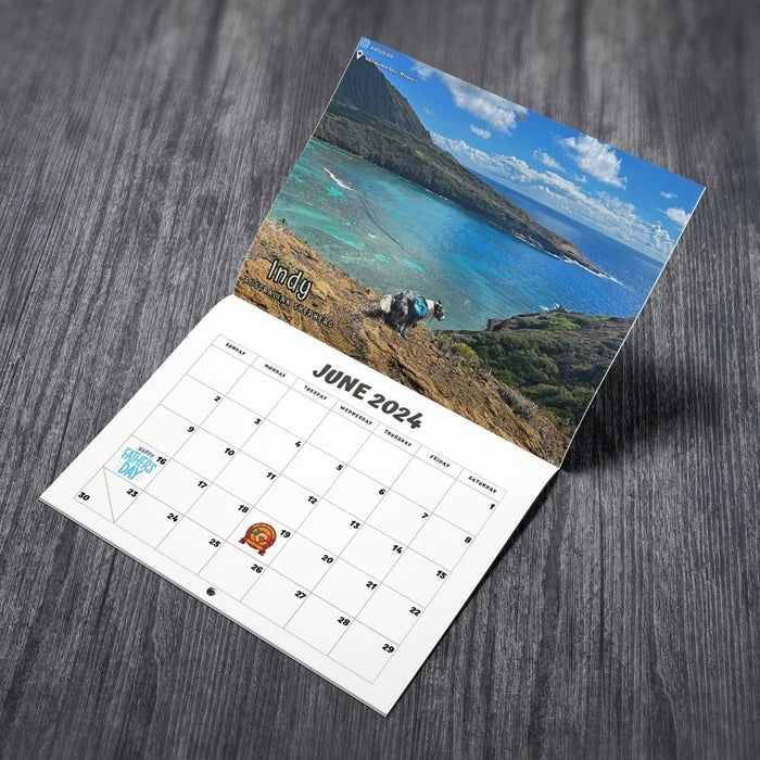 Frendorf | 📅2024 Lustigster Kalender-Hunde, die an schönen Orten kacken | "Künstlerischer Ausdruck" pelziger Freunde