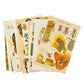 Botanischer Garten Collage-Kit