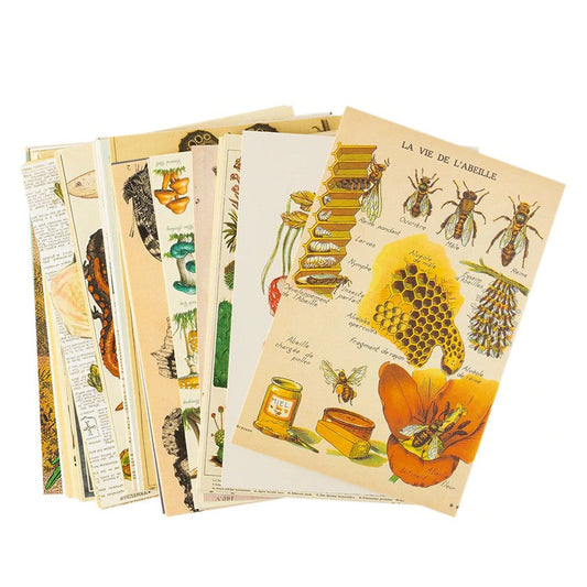 Botanischer Garten Collage-Kit