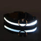 Frendorf | BrightPaws LED Leine und Leuchthalsband | Sicherheitsset für Hunde | Sichtbarkeit & Stil