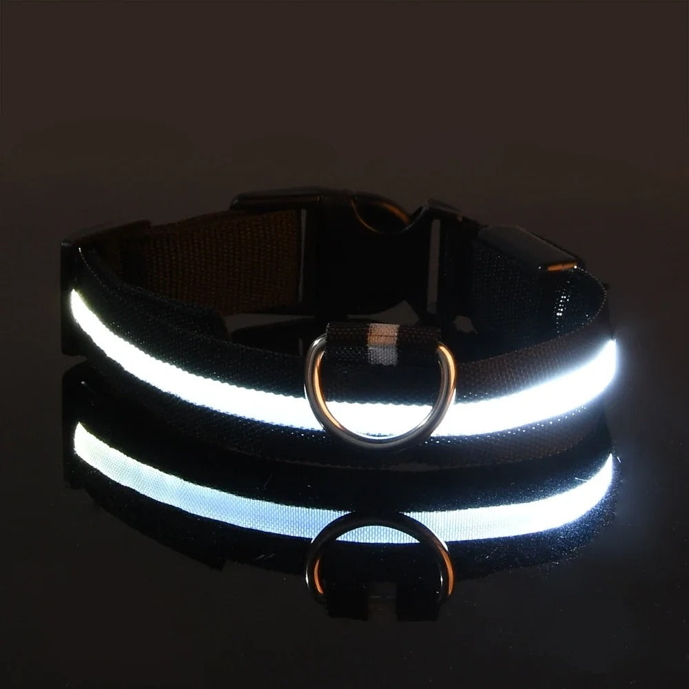 Frendorf | BrightPaws LED Leine und Leuchthalsband | Sicherheitsset für Hunde | Sichtbarkeit & Stil
