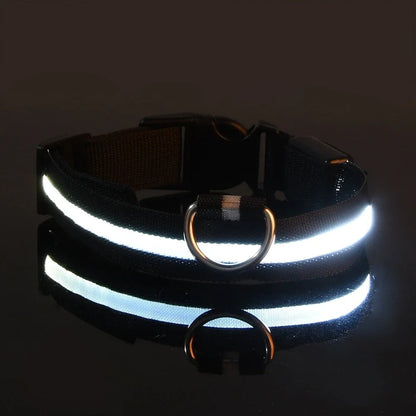 Frendorf | BrightPaws LED Leine und Leuchthalsband | Sicherheitsset für Hunde | Sichtbarkeit & Stil