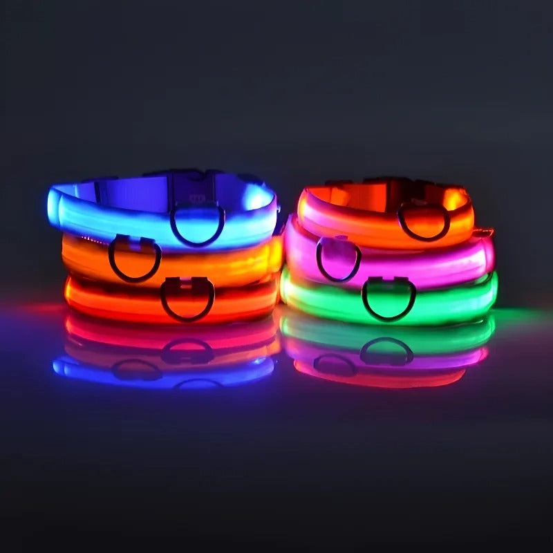Frendorf | BrightPaws LED Leine und Leuchthalsband | Sicherheitsset für Hunde | Sichtbarkeit & Stil