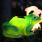 Frendorf | SolarCreato Tierfigur Gartenleuchte | Solarbetrieben & Wasserdicht | Kreative LED Rasen- und Landschaftsbeleuchtung