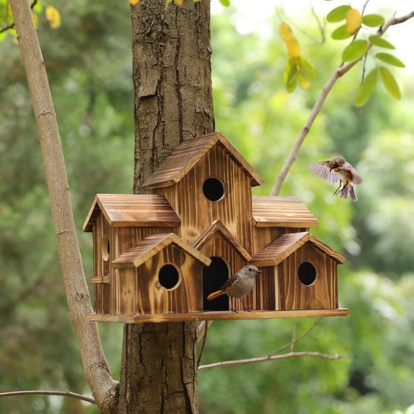 Frendorf | Vogelhaus mit 6 Löchern