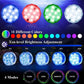 Frendorf | Unterwasser LED Poollichter 10 Lampen