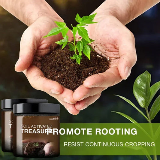 Frendorf | Bodenaktivierte Schatz