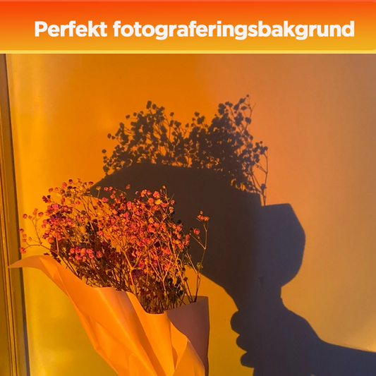 Projektion Stehlampe