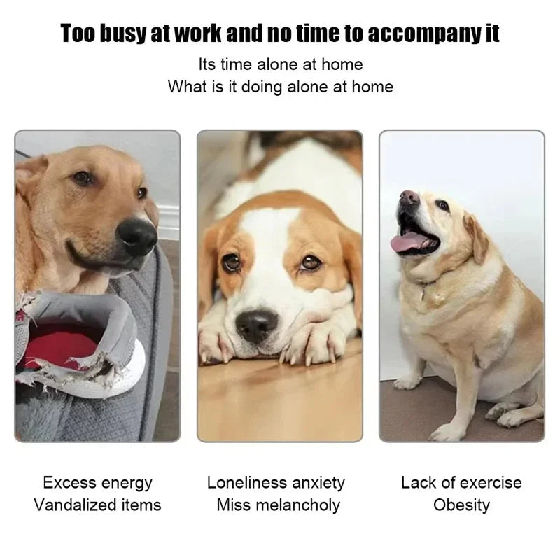 Frendorf | Automatischer Hundeballwerfer mit 3 Distanzstufen