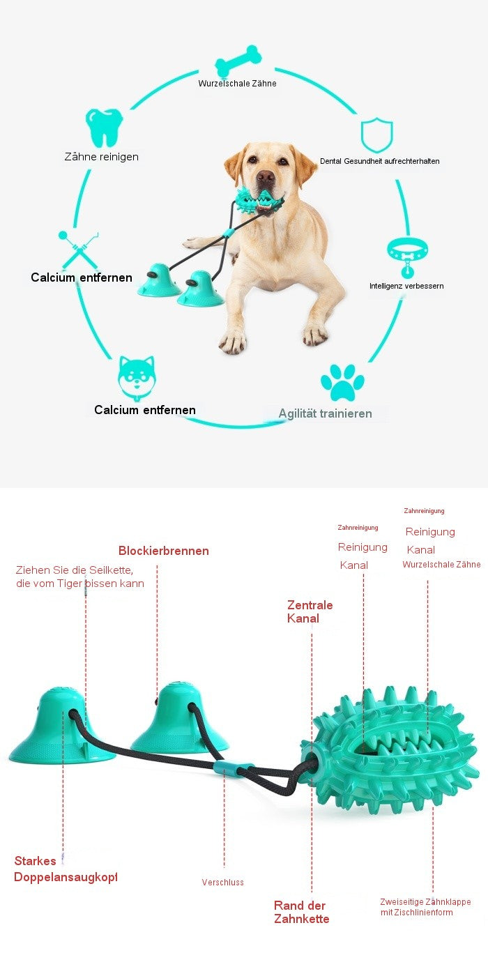 Dual‑Suction Kaktus Kauball / Für Hunde