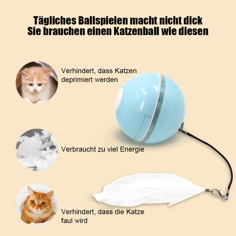 Frendorf | Automatisch geführter, intelligenter Katzenball