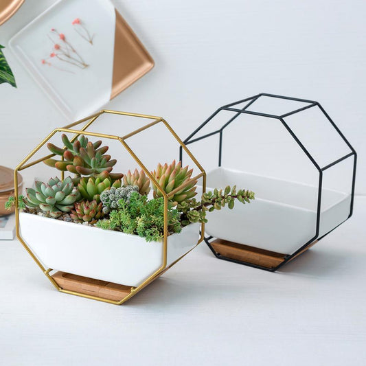 Frendorf | GeoFrame Keramik Wandpflanztopf mit Metallrahmen | Octagon Design