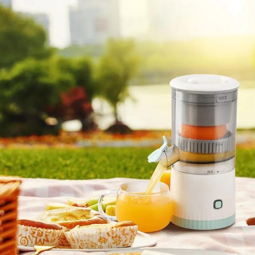 Frendorf | Bleib gesund mit günstigem selbstgemachtem Saft mit nur einem Klick